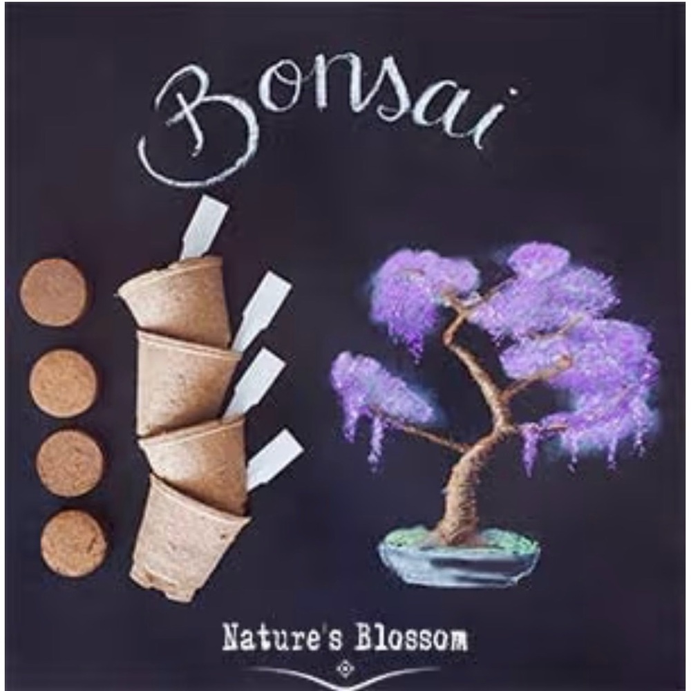 Bonsai Seed Starter Kit - Green and Purple NWT. Amazing last minute gift! - Picture 6 of 8